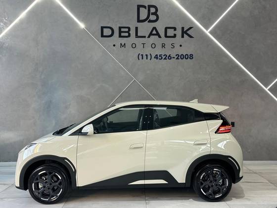 BYD DOLPHIN MINI 38 KW ELÉTRICO GL