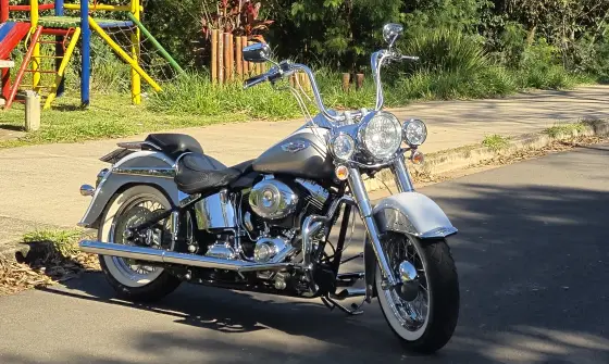HARLEY-DAVIDSON SOFTAIL DELUXE 