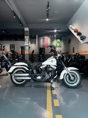HARLEY-DAVIDSON-SOFTAIL FAT BOY SPECIAL HARLEY-DAVIDSON-SOFTAIL FAT BOY SPECIAL-2016