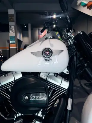 HARLEY-DAVIDSON-SOFTAIL FAT BOY SPECIAL HARLEY-DAVIDSON-SOFTAIL FAT BOY SPECIAL-2016