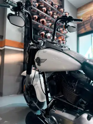 HARLEY-DAVIDSON-SOFTAIL FAT BOY SPECIAL HARLEY-DAVIDSON-SOFTAIL FAT BOY SPECIAL-2016