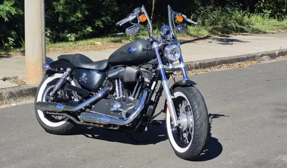 HARLEY-DAVIDSON SPORTSTER 1200 XL CUSTOM 