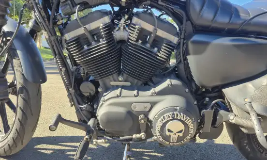 HARLEY-DAVIDSON-SPORTSTER XL 883N IRON-2018