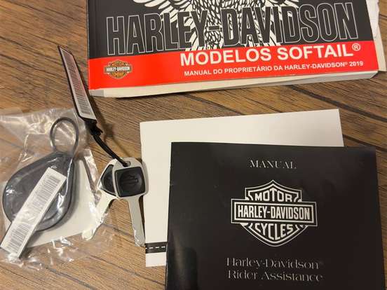HARLEY-DAVIDSON-SOFTAIL FXDR 114 HARLEY-DAVIDSON-SOFTAIL FXDR 114-2019