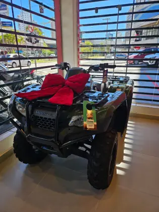 HONDA TRX 420 FOURTRAX 4X4 