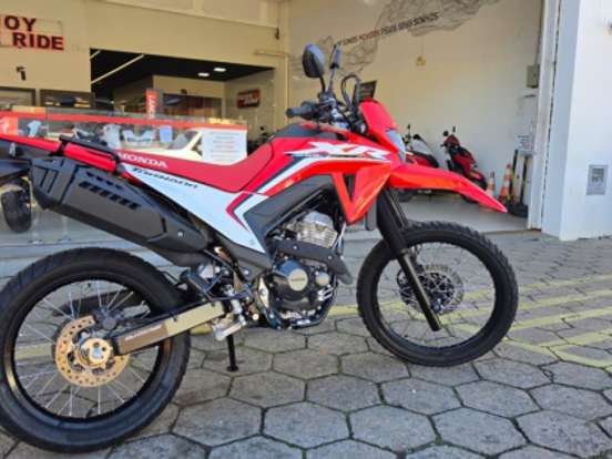 HONDA-XR 300L TORNADO HONDA-XR 300L TORNADO-2025
