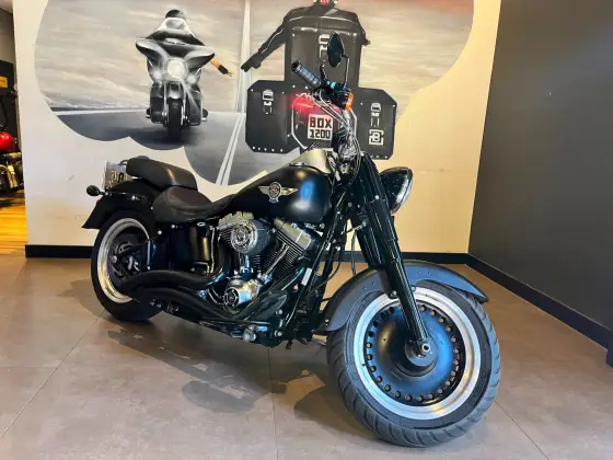 HARLEY-DAVIDSON SOFTAIL FAT BOY SPECIAL 