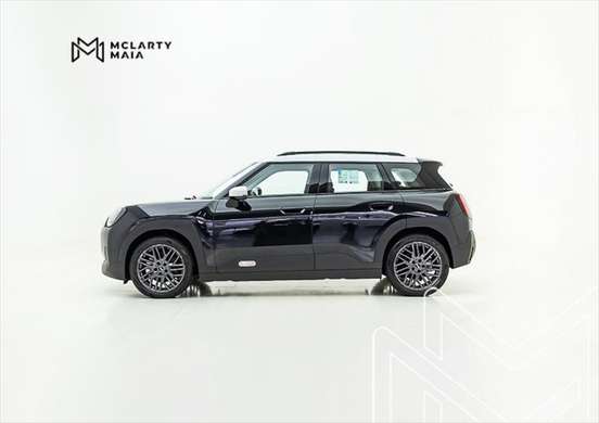 MINI-ACEMAN-2025