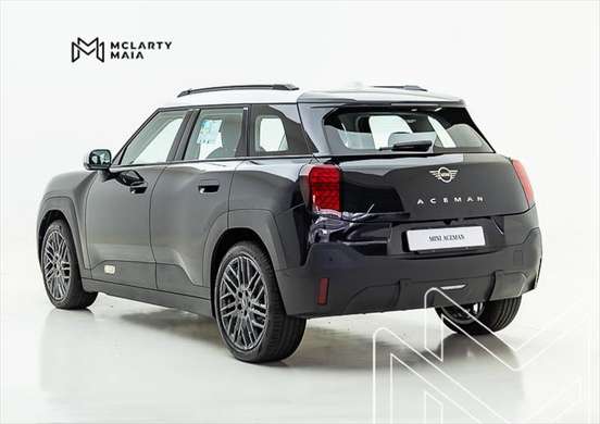 MINI-ACEMAN-2025