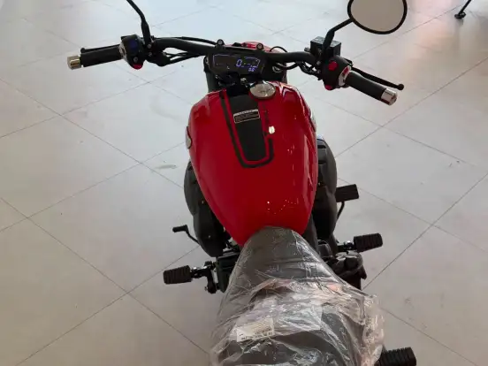 SHINERAY-TITANIUM 250 SHINERAY-TITANIUM 250-2026
