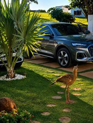 AUDI-Q5-2023