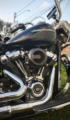 HARLEY-DAVIDSON-SOFTAIL DELUXE-2019