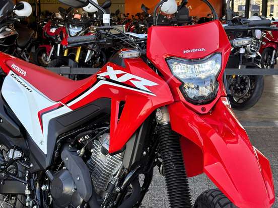 HONDA-XR 300L TORNADO HONDA-XR 300L TORNADO-2025