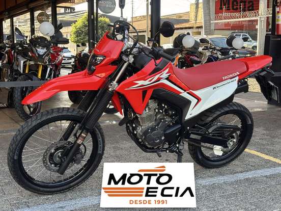 HONDA-XR 300L TORNADO HONDA-XR 300L TORNADO-2025