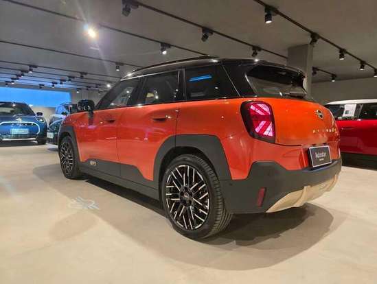 MINI-ACEMAN-2024