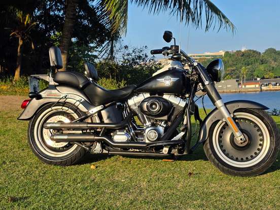 HARLEY-DAVIDSON-SOFTAIL FAT BOY SPECIAL HARLEY-DAVIDSON-SOFTAIL FAT BOY SPECIAL-2014