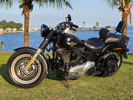 HARLEY-DAVIDSON-SOFTAIL FAT BOY SPECIAL HARLEY-DAVIDSON-SOFTAIL FAT BOY SPECIAL-2014