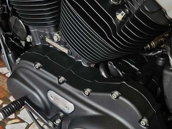 HARLEY-DAVIDSON-SPORTSTER XL 883N IRON HARLEY-DAVIDSON-SPORTSTER XL 883N IRON-2010