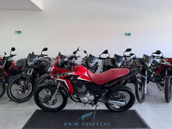 HONDA-XRE 300 ABS HONDA-XRE 300 ABS-2022