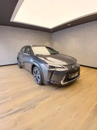 LEXUS UX 300h 2.0 VVT-I HYBRID CVT LEXUS UX 300h 2.0 VVT-I HYBRID CVT