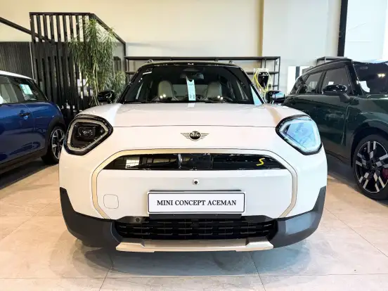 MINI-ACEMAN-2025