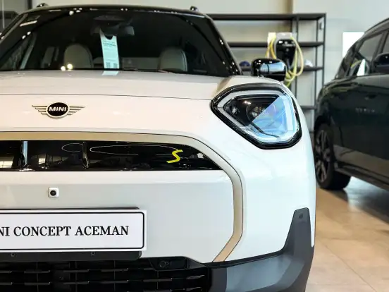 MINI-ACEMAN-2025