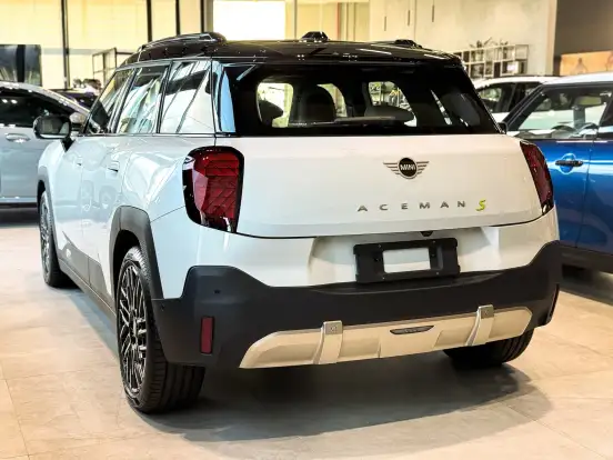 MINI-ACEMAN-2025