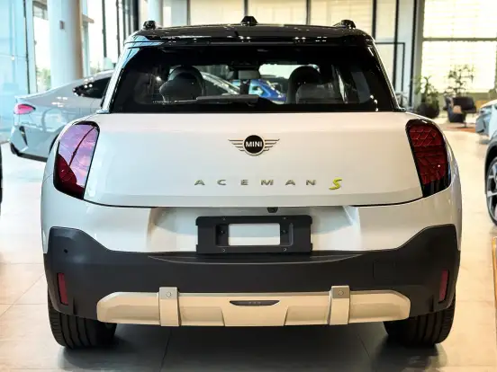 MINI-ACEMAN-2025