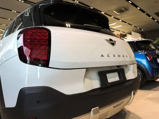 MINI-ACEMAN-2025
