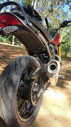 TRIUMPH-SPEED 400-2024
