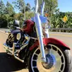 HARLEY-DAVIDSON SOFTAIL FAT BOY 114 HARLEY-DAVIDSON SOFTAIL FAT BOY 114