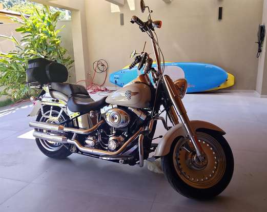 HARLEY-DAVIDSON-SOFTAIL FAT BOY SPECIAL-2015