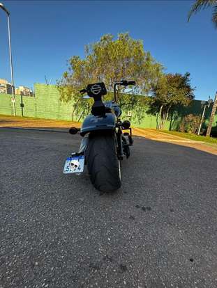 HARLEY-DAVIDSON-SOFTAIL FAT BOY 114-2021