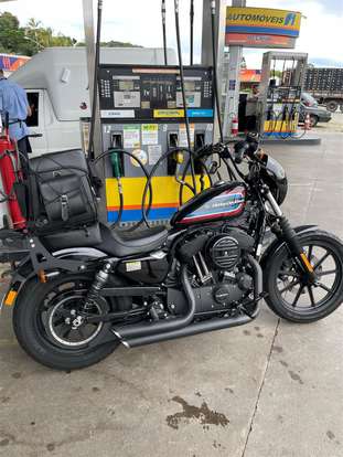HARLEY-DAVIDSON-SPORTSTER IRON 1200-2020