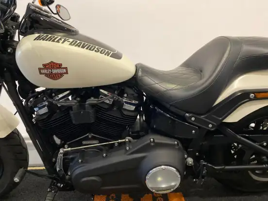 HARLEY-DAVIDSON-SOFTAIL FAT BOB 107-2019