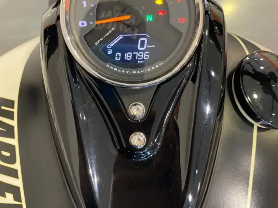 HARLEY-DAVIDSON-SOFTAIL FAT BOB 107 HARLEY-DAVIDSON-SOFTAIL FAT BOB 107-2019