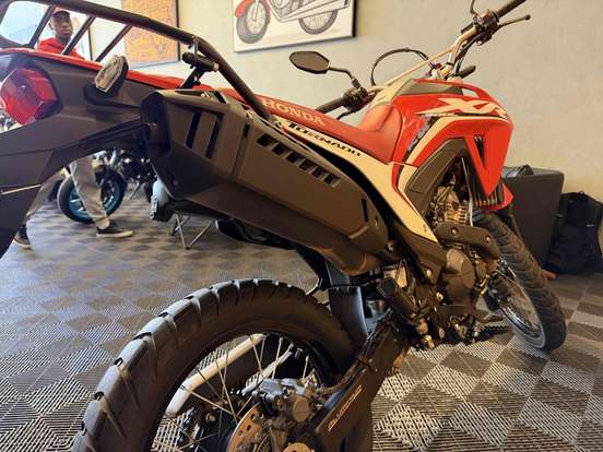 HONDA-XR 300L TORNADO-2025
