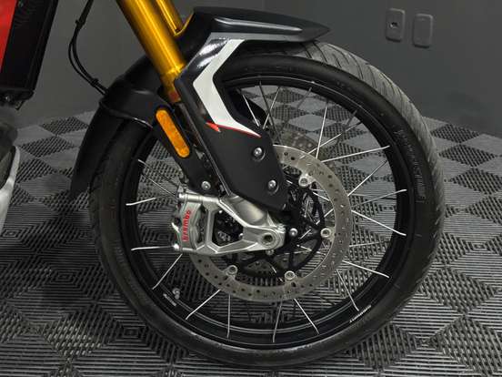 TRIUMPH-TIGER 900 RALLY PRO-2024