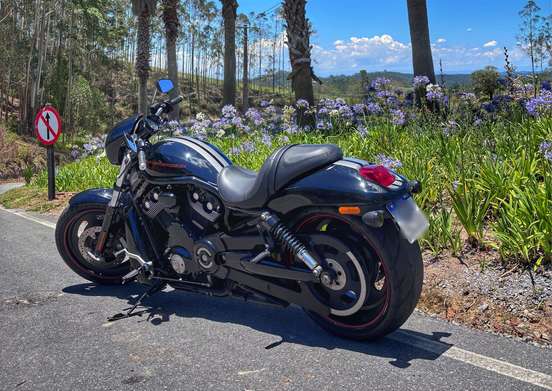 HARLEY-DAVIDSON-NIGHT ROD SPECIAL-2009