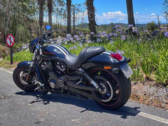 HARLEY-DAVIDSON-NIGHT ROD SPECIAL HARLEY-DAVIDSON-NIGHT ROD SPECIAL-2009
