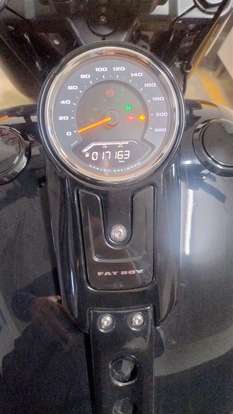 HARLEY-DAVIDSON-SOFTAIL FAT BOY 114-2019