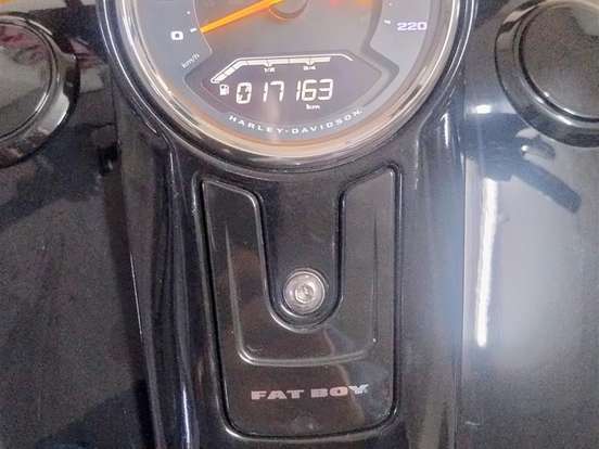 HARLEY-DAVIDSON-SOFTAIL FAT BOY 114 HARLEY-DAVIDSON-SOFTAIL FAT BOY 114-2019