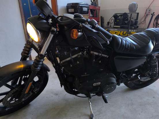 HARLEY-DAVIDSON-SPORTSTER IRON 883 HARLEY-DAVIDSON-SPORTSTER IRON 883-2019