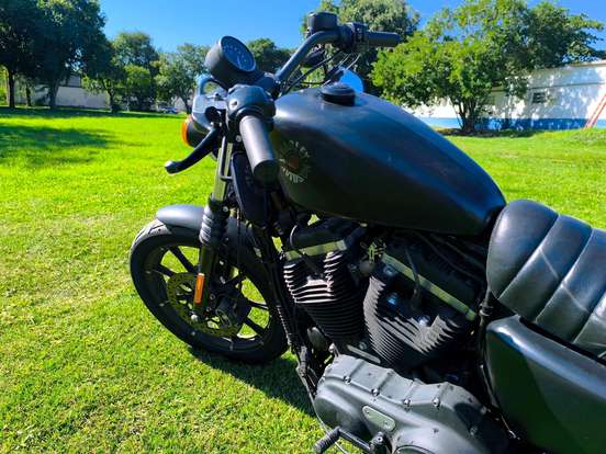 HARLEY-DAVIDSON-SPORTSTER IRON 883 HARLEY-DAVIDSON-SPORTSTER IRON 883-2019
