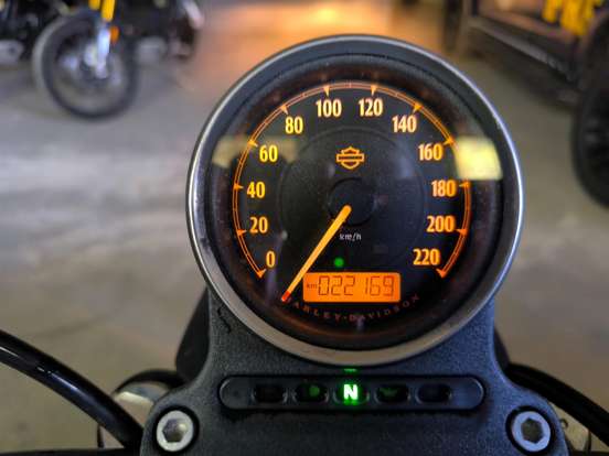 HARLEY-DAVIDSON-SPORTSTER IRON 883 HARLEY-DAVIDSON-SPORTSTER IRON 883-2019