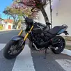 HONDA CB 600F HORNET HONDA CB 600F HORNET