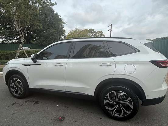 GWM-HAVAL H6-1.5 PHEV34 AWD E-TRACTION GWM-HAVAL H6-2024