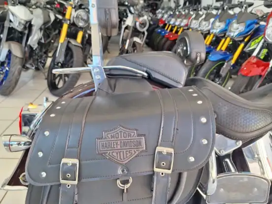 HARLEY-DAVIDSON-SOFTAIL DELUXE HARLEY-DAVIDSON-SOFTAIL DELUXE-2007
