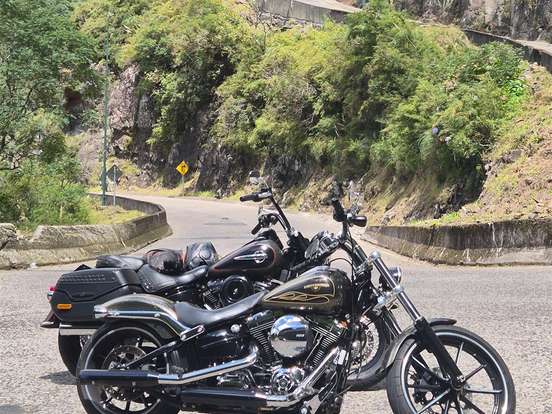HARLEY-DAVIDSON-SOFTAIL BREAKOUT HARLEY-DAVIDSON-SOFTAIL BREAKOUT-2015