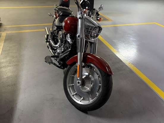 HARLEY-DAVIDSON-SOFTAIL FAT BOB 114 HARLEY-DAVIDSON-SOFTAIL FAT BOB 114-2024